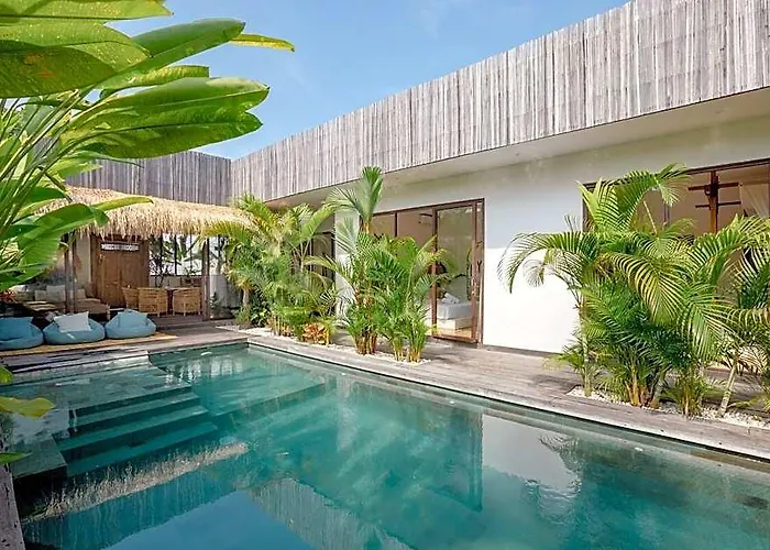 Elwood By The Bali Agent